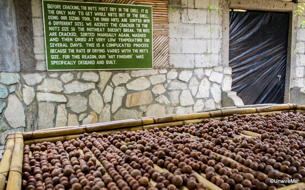 Things to Do in Antigua Guatemala Valhalla Macadamia Farm