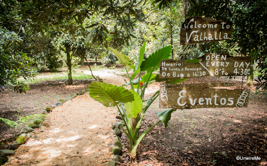 Things to Do in Antigua Guatemala Valhalla Macadamia Farm