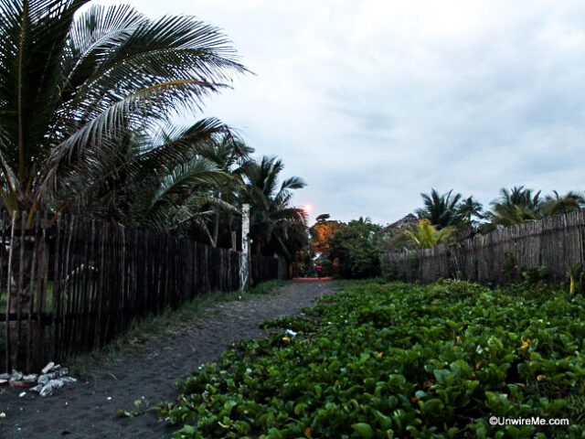 Path to the beach Path to the beach