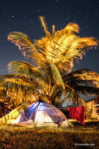 Camping under a palm tree Camping under a palm tree
