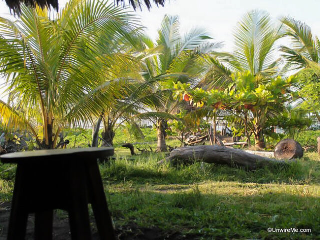 Garden at Paredon Surf Camp Garden at Paredon Surf Camp