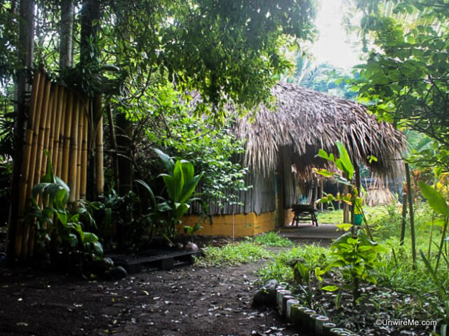 Outdoor showers Outdoor showers
