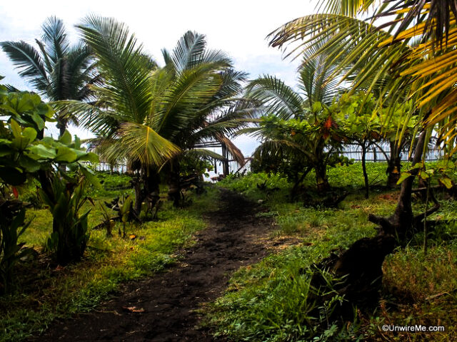 Path from hotel to the beach Path from hotel to the beach