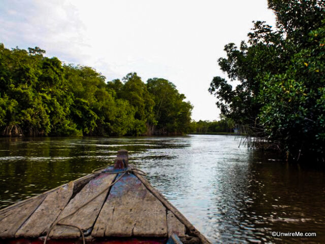 Boad ride through mangroves at Sipacate Boad ride through mangroves at Sipacate