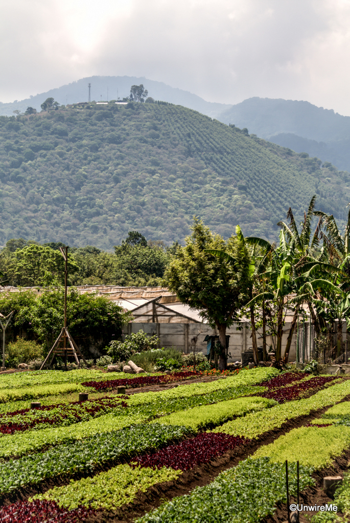 Caoba Farms, Antigua Guatemala 2018 Visitors Guide OkAntigua