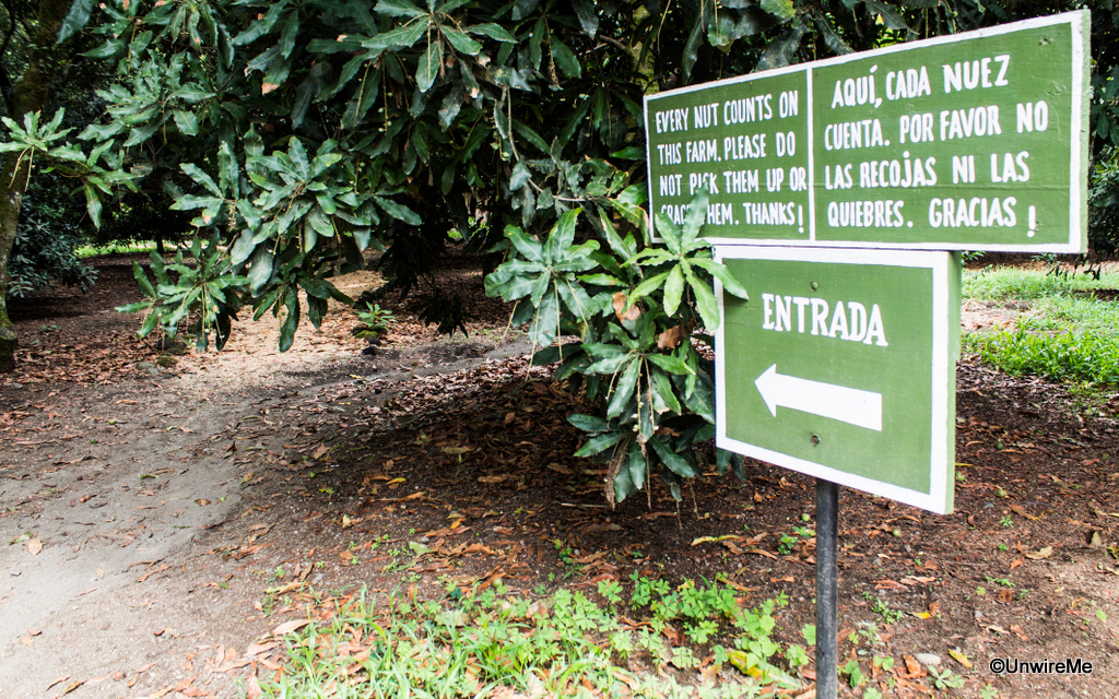 Valhalla Macadamia Farm Visitors Guide